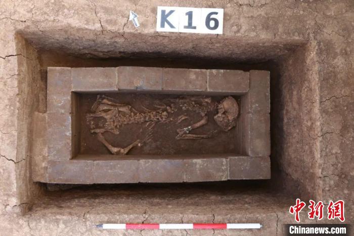 動(dòng)物殉葬坑で見つかったジャイアントパンダの骨