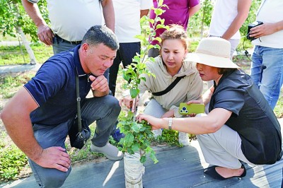 弘揚“中國-中亞精神”，推進共同現代化